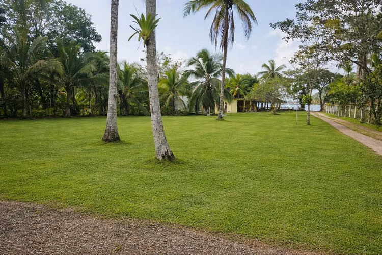 ISLA PRIVADA TITULADA  PORTOBELO+ TERRENO FRENTE AL MAR - Imagen 8