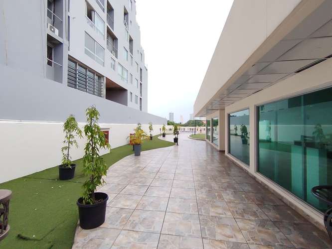 Apartamento en Alquiler Con Acceso Directo al Parque Omar – Carrasquilla - Imagen 20