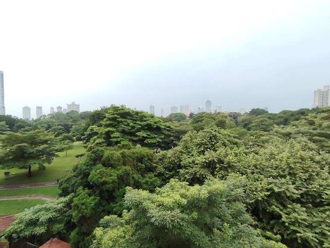 Apartamento en Alquiler Con Acceso Directo al Parque Omar – Carrasquilla - Imagen 16