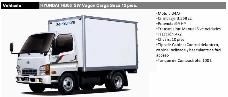 Camion Hyundai