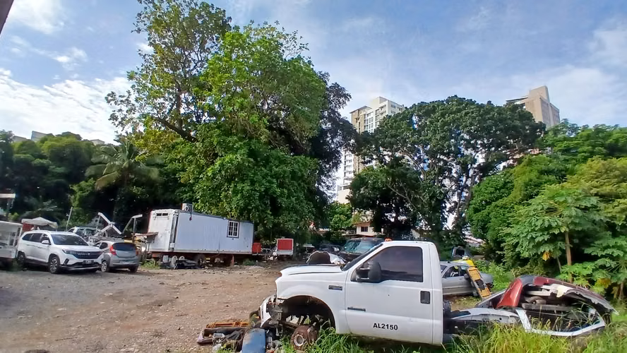 Alquiler de Terreno Comercial en Carrasquilla DPV