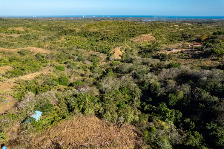 Finca de Desarrollo de 26 Hectáreas con Vistas al Mar y Montaña en El Cope
