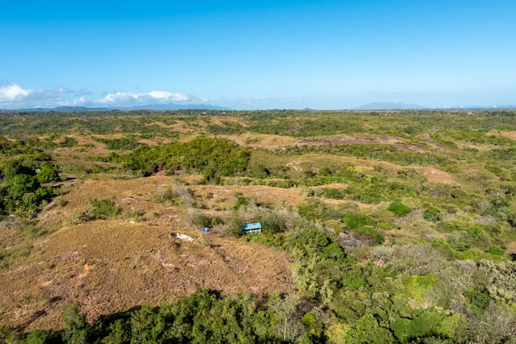26-Hectare Development Farm with Ocean & Mountain Views in El Copé