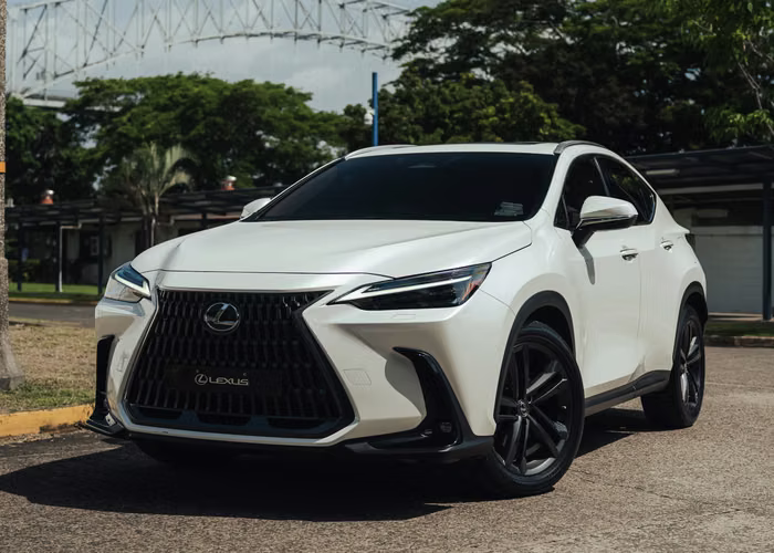 Lexus Nx350h 2022