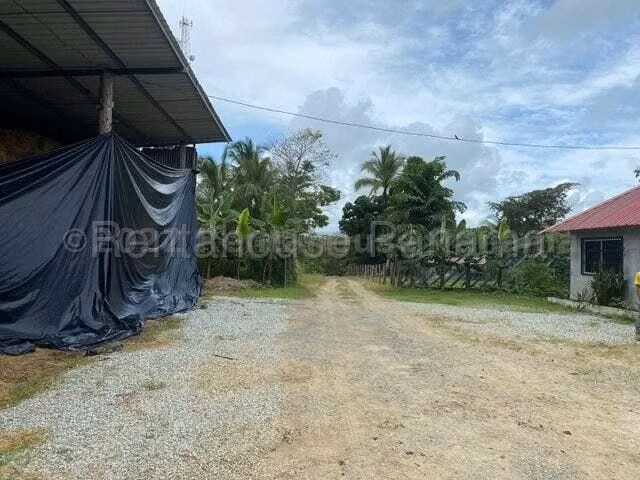 VENDO Terreno Comercial Ubicado en Tortí 242 Hectareas
