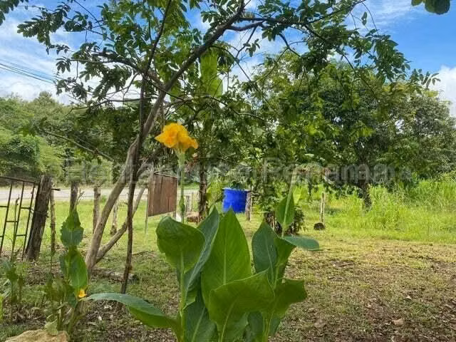 VENDO Terreno Comercial Ubicado en Tortí 242 Hectareas