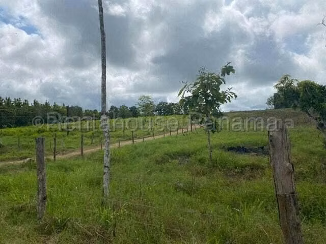 VENDO Terreno Comercial Ubicado en Tortí 242 Hectareas