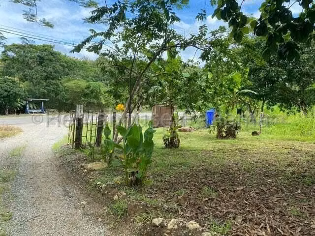 VENDO Terreno Comercial Ubicado en Tortí 242 Hectareas