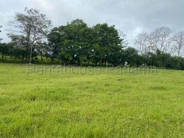 VENDO Terreno Comercial Ubicado en Tortí 242 Hectareas