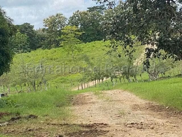 VENDO Terreno Comercial Ubicado en Tortí 242 Hectareas