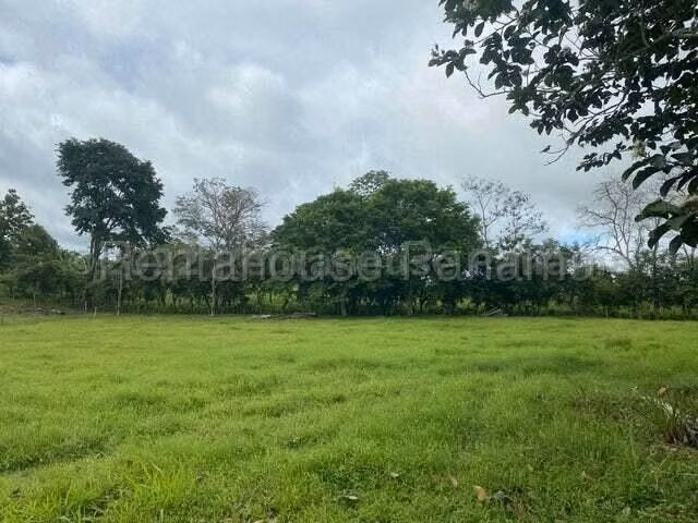 VENDO Terreno Comercial Ubicado en Tortí 242 Hectareas