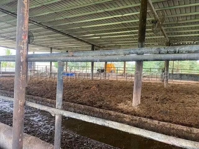 VENDO Terreno Comercial Ubicado en Tortí 242 Hectareas