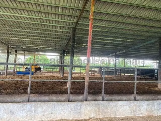 VENDO Terreno Comercial Ubicado en Tortí 242 Hectareas