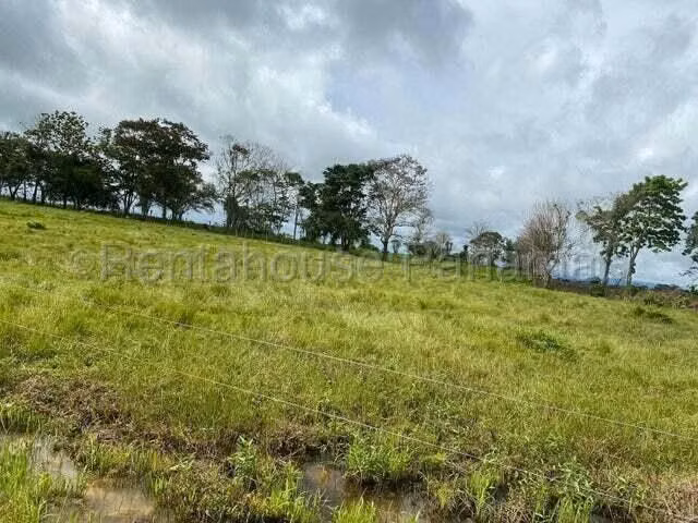VENDO Terreno Comercial Ubicado en Tortí 242 Hectareas