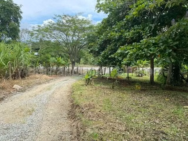 VENDO Terreno Comercial Ubicado en Tortí 242 Hectareas