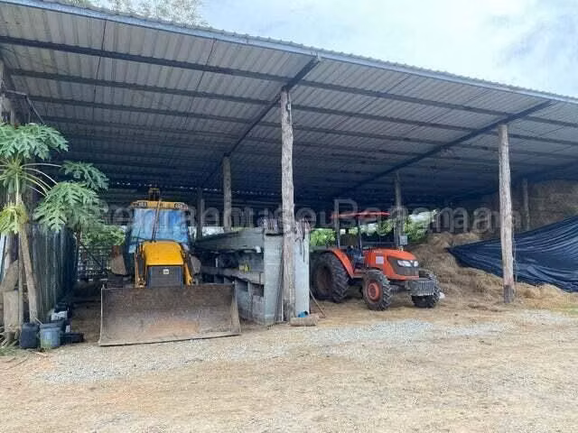 VENDO Terreno Comercial Ubicado en Tortí 242 Hectareas