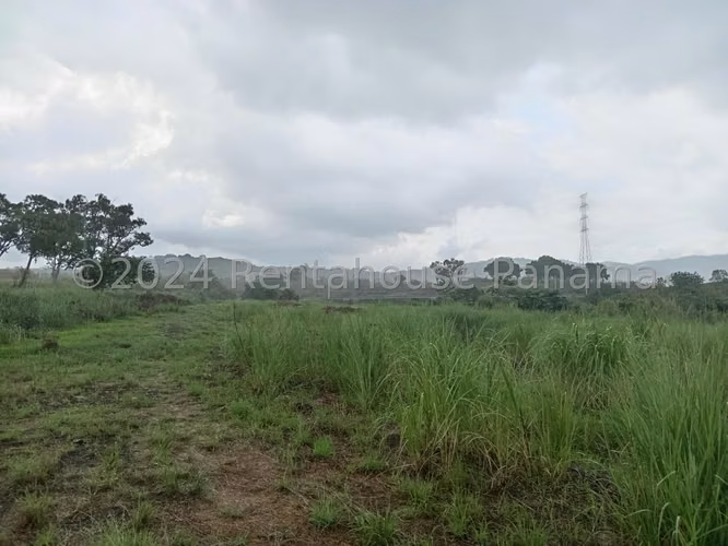 VENDO Terreno de 12 Hectareas en Pedregal.