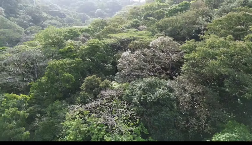  FINCA EN VENTA – PORTOBELO, COLÓN