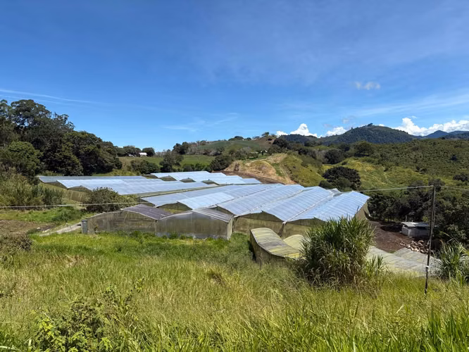 VENTA DE FINCA AGROINDUSTRIAL EN VOLCAN