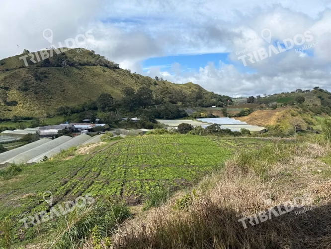VENTA DE FINCA AGROINDUSTRIAL EN VOLCAN - Imagen 6