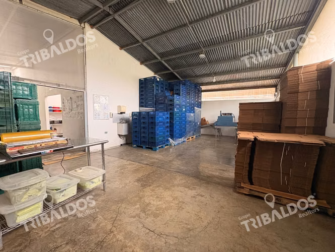 VENTA DE FINCA AGROINDUSTRIAL EN VOLCAN - Imagen 9