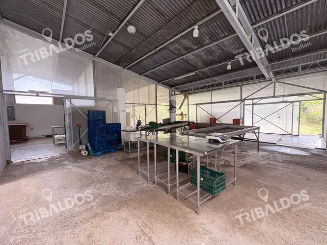 VENTA DE FINCA AGROINDUSTRIAL EN VOLCAN - Imagen 8