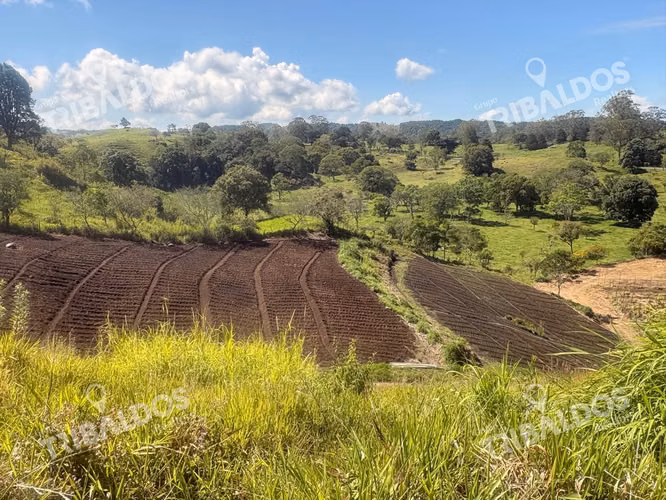 VENTA DE FINCA AGROINDUSTRIAL EN VOLCAN - Imagen 2