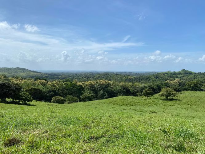 Land for sale in Paso Blanco OF27-669