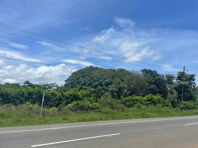 En venta Finca, San Lorenzo, Chiriqui