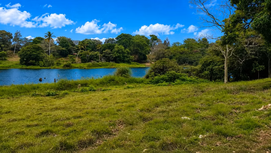Terreno Frente al Lago Gatún de 14.5 Hectáreas para Desarrollo | La Arenosa