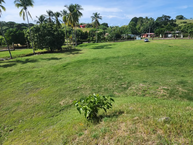 Vendo Terreno en Los Santos Corregimiento de Agua Buena
