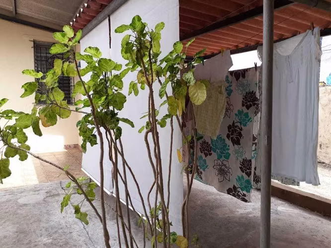 Venta de Casa en Betania I261GRR
