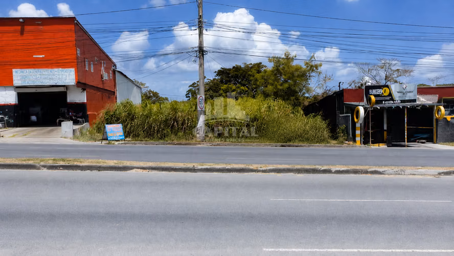 SE ALQUILA TERRENO EN AUTO MOTOR, A ORILLA DE LA VÍA TOCUMEN