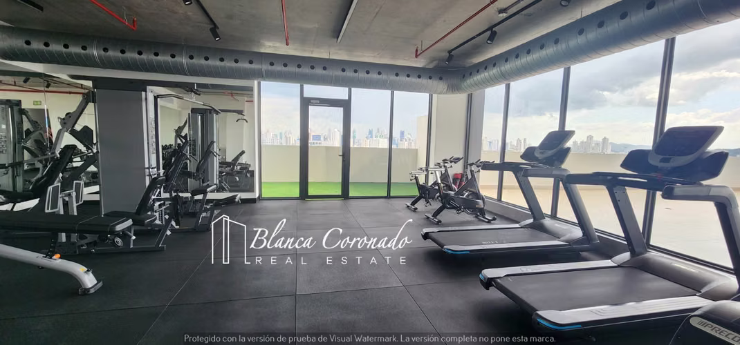 VENTA EN HATO PINTADO PROYECTO NUEVO EN PH BALCONY