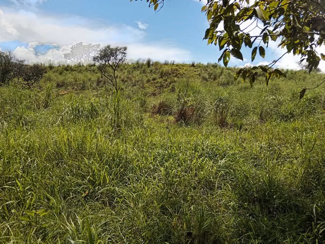 Venta de Finca de 11.6 Hectáreas con Título de Propiedad en La Laguna, Calobre