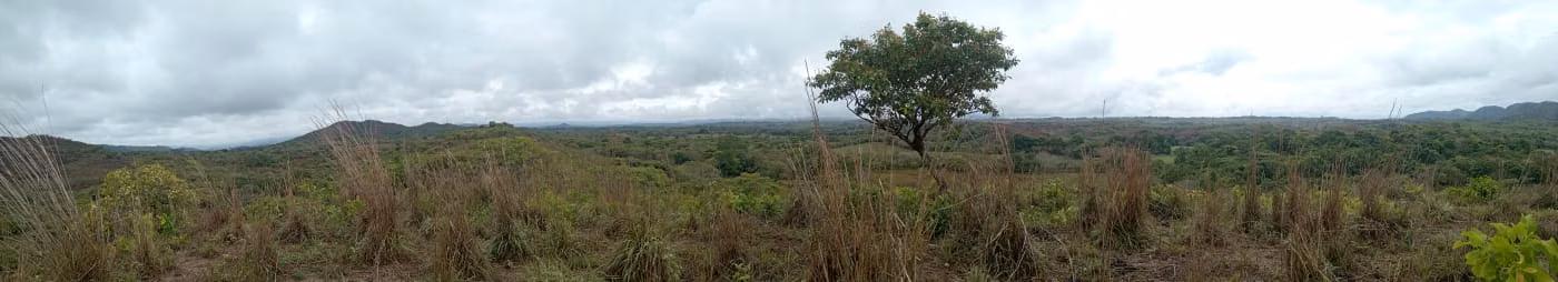 Venta de Finca de 11.6 Hectáreas con Título de Propiedad en La Laguna, Calobre