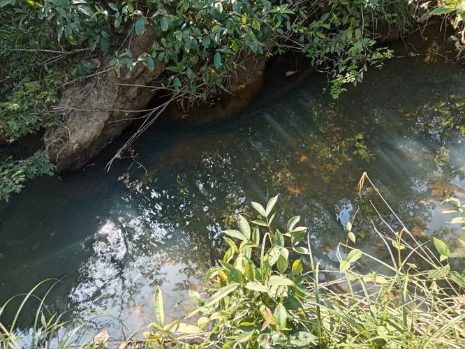Venta de Finca de 11.6 Hectáreas con Título de Propiedad en La Laguna, Calobre