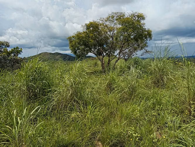 Venta de Finca de 11.6 Hectáreas con Título de Propiedad en La Laguna, Calobre