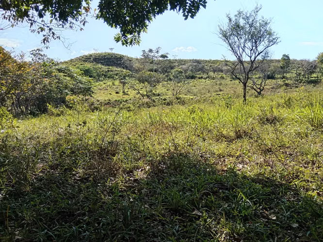 Venta de Finca de 11.6 Hectáreas con Título de Propiedad en La Laguna, Calobre