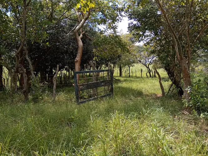 Venta de Finca de 11.6 Hectáreas con Título de Propiedad en La Laguna, Calobre
