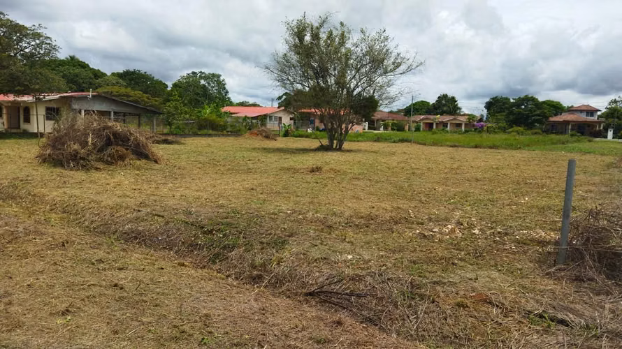 Lote Residencial de 800 m² en Aguadulce – Cerro Morado | B/. 40,000