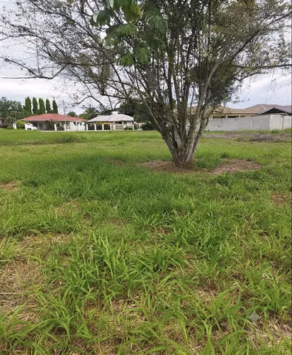 Lote Residencial de 800 m² en Aguadulce – Cerro Morado | B/. 40,000