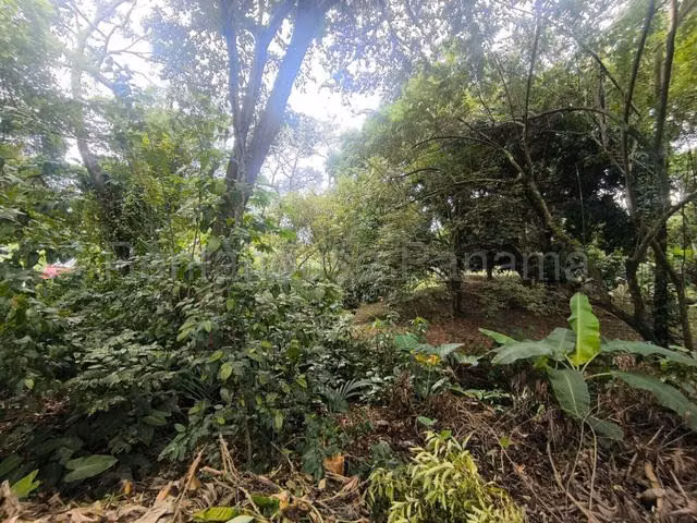 Terreno en Venta en Chame. Eh
