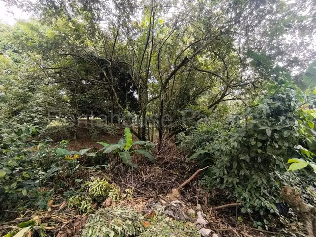 Terreno en Venta en Chame. Eh