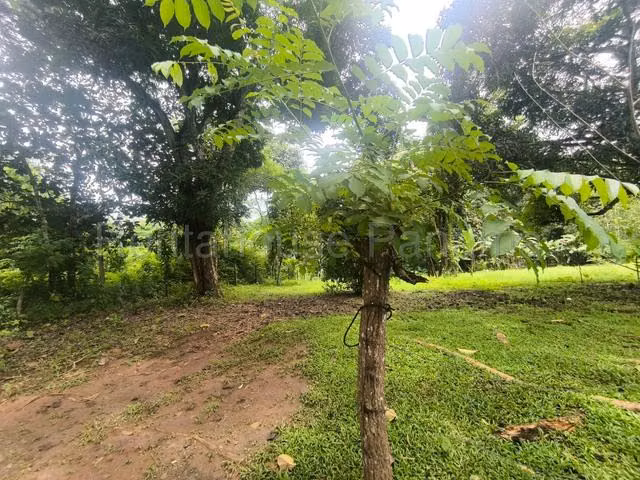 Terreno en Venta en Chame. Eh