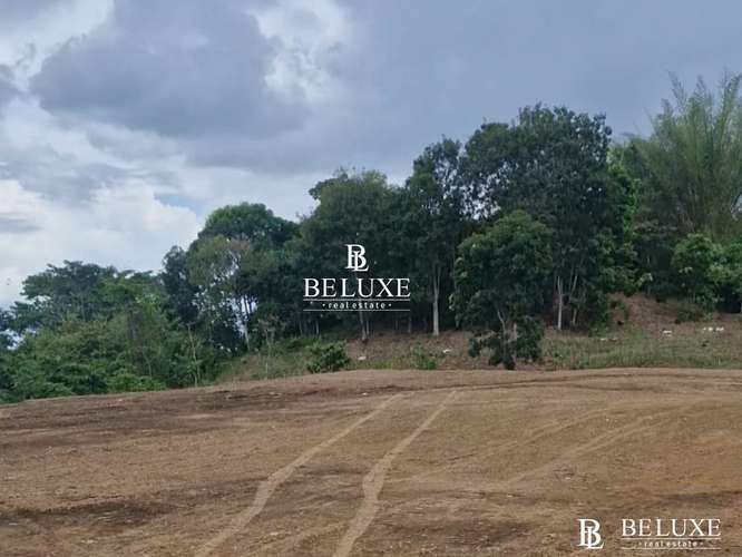 VENTA DE TERRENO COMERCIAL EN TOCUMEN, LAS MAÑANITAS (6)