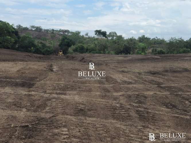 VENTA DE TERRENO COMERCIAL EN TOCUMEN, LAS MAÑANITAS (6)