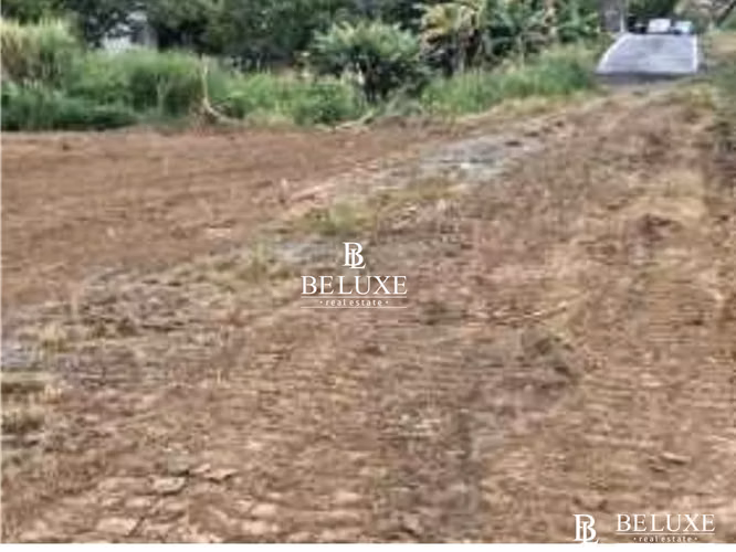 VENTA DE TERRENO COMERCIAL EN TOCUMEN, LAS MAÑANITAS (6)