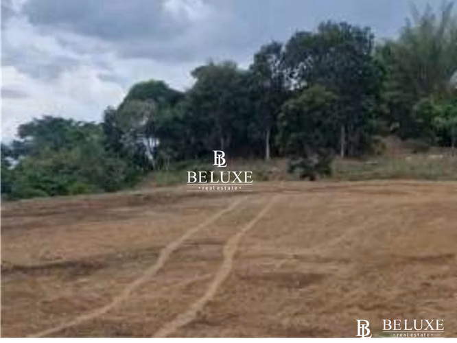 VENTA DE TERRENO COMERCIAL EN TOCUMEN, LAS MAÑANITAS (6)