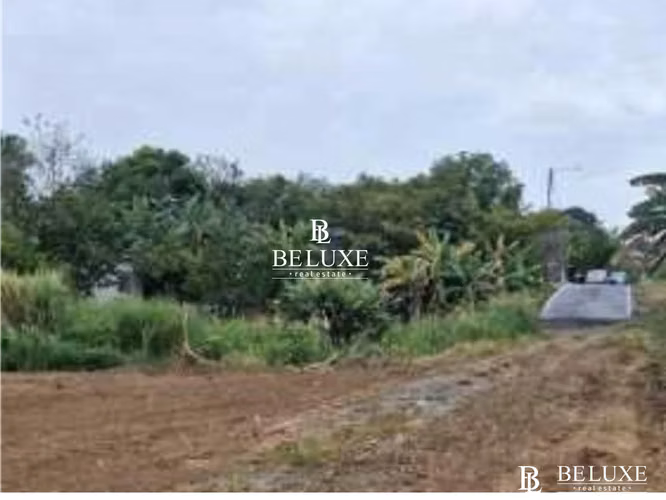 VENTA DE TERRENO COMERCIAL EN TOCUMEN, LAS MAÑANITAS (6)